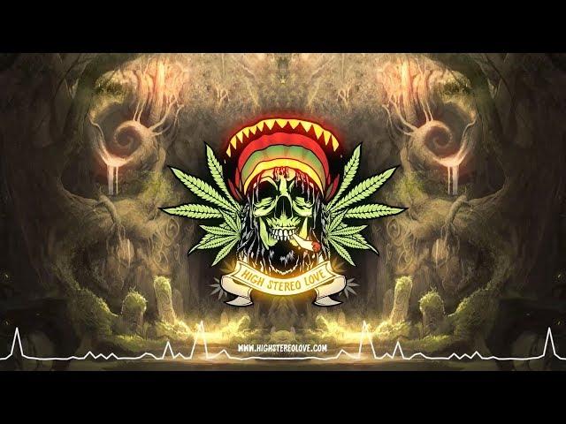 Irie Souljah - Learn And Grow