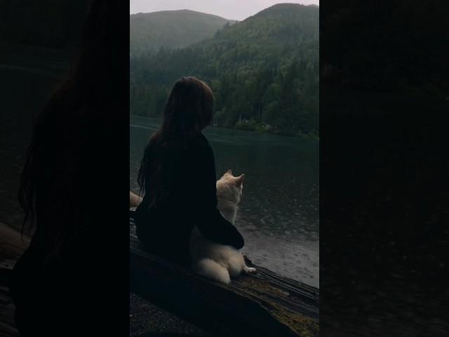 Что такое "Уроки жизни"?