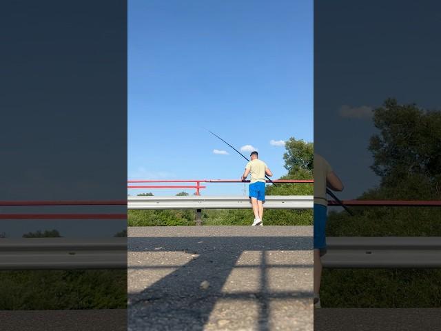 ВСЯ НАША ЖИЗНЬ РЫБАЛКА #природа #рыбалка #беларусь #creator #лето #fishing