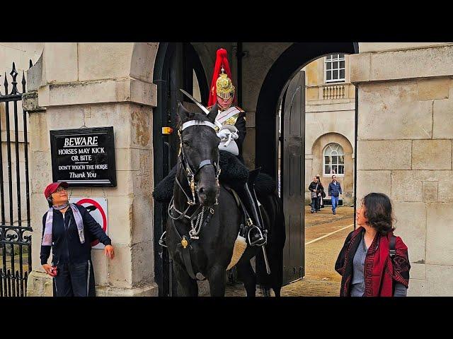 MONDAY MELTDOWN MADNESS AS TWIN TROOPERS DEAL WITH IDIOT TOURISTS at Horse Guards!