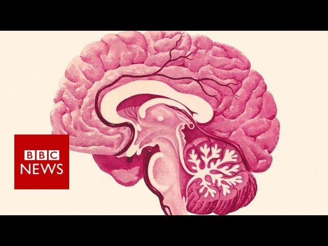 Preventing dementia: Nine tips that could help you stay sharp - BBC News