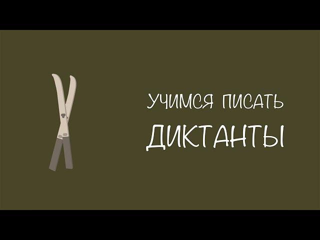 #5 Учимся писать ДИКТАНТ | Пишем под диктовку | Русский язык | Прописи | Красивый почерк