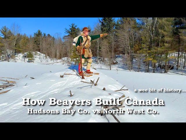 How Beavers Built Canada | Hudson Bay Company vs. North West Company | History | Wildlife