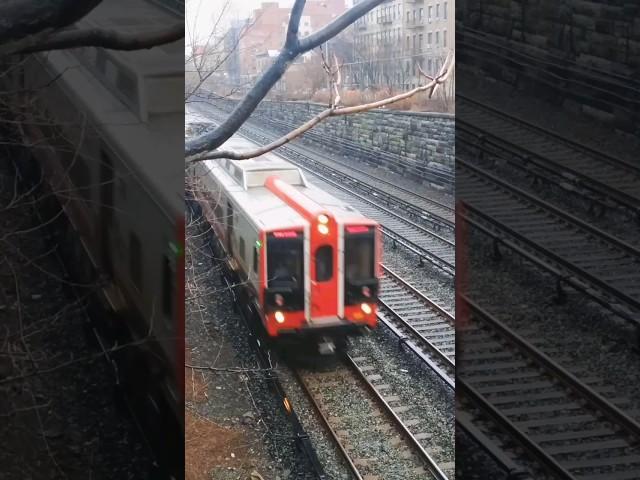 Park Avenue machines: both #M7A & #M8 trains to Manhattan #mta #metronorth #youtubeshorts