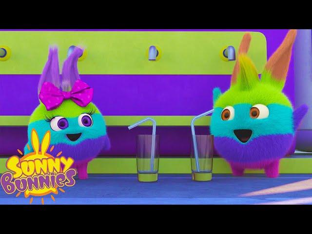 Rainbow Bunnies - Sunny Bunnies | Cartoons For Kids