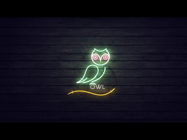 Owl - Neon Creative Work