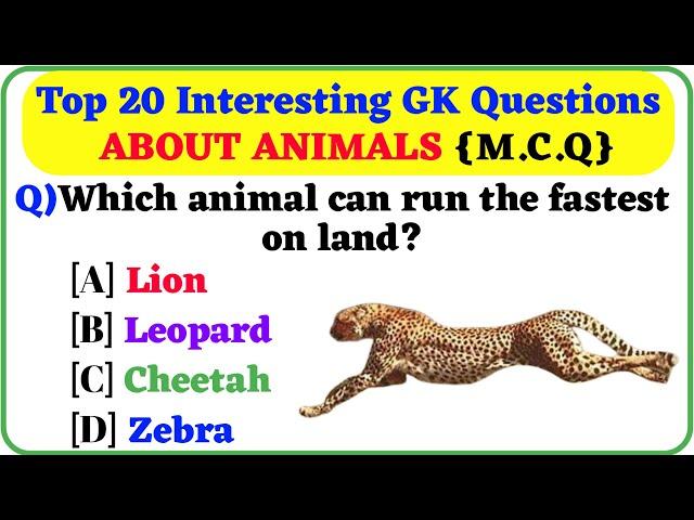 Interesting GK Questions About Animals l GK in English l General Knowledge l GK l Knowledge Vista l