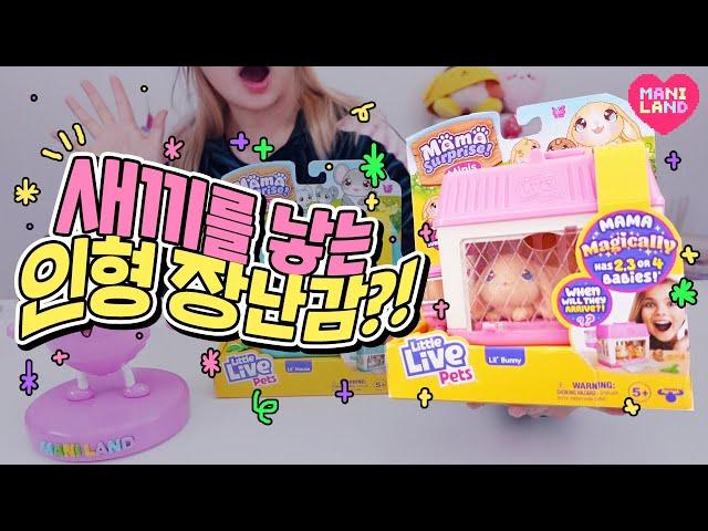 [SUB] baby rabbits are born?!! Toy Unboxing