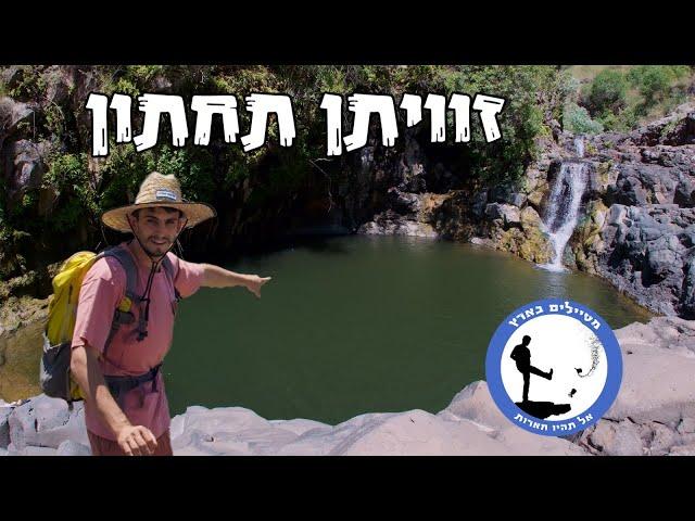 זוויתן תחתון - החלק בנחל שעוד לא נשרף