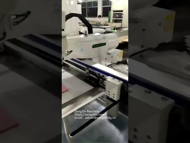 Computer Pattern Sewing Machine : For leather