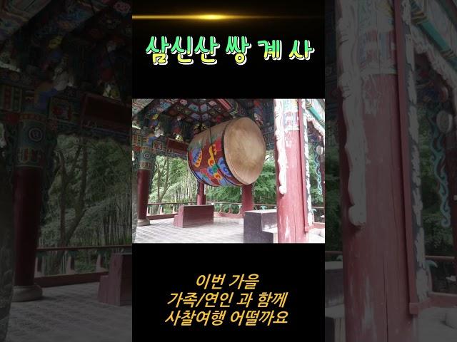 쌍계사 가을여행 가족 연인 사찰 놀러가세요