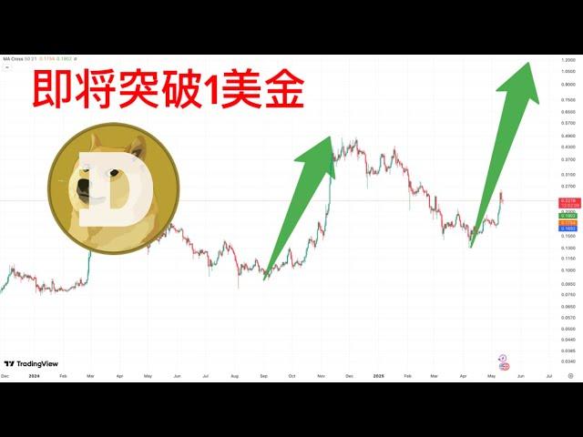 DOGE最新消息显示：狗狗币最佳上车机会来了！这一波冲向1美元，主升浪即将开启！