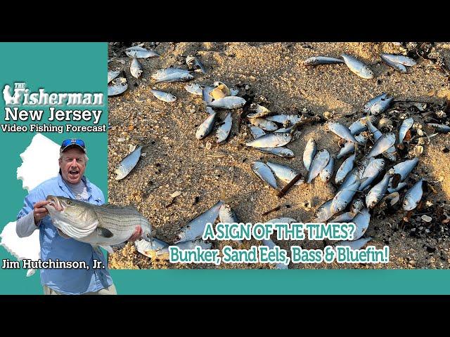 November 7, 2024 New Jersey/Delaware Bay Fishing Report with Jim Hutchinson, Jr.