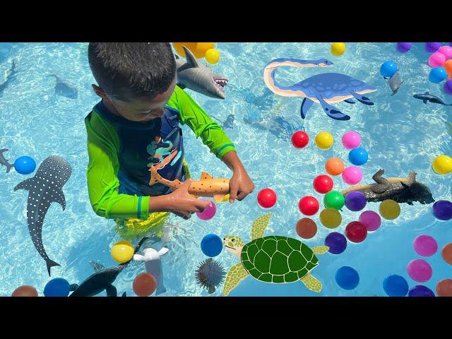 Ocean Animals Collection In Colorful Balls Pool | Sink Or Float?Jeremy and Twin Brothers