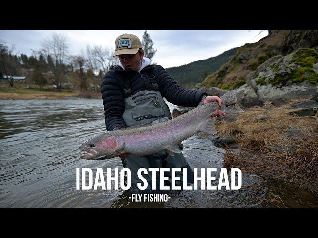 Fly Fishing for Spring Steelhead in Idaho