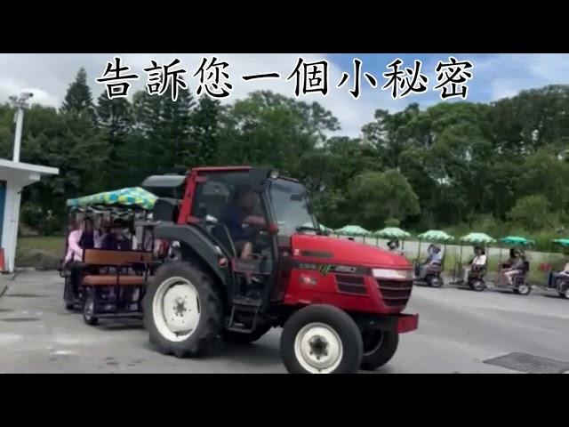 田在其中旅行社張小姐率領田在其中貴賓旅遊團-池上長虹遊園拉拉車   2024.09.23