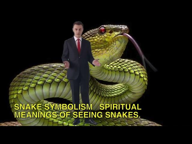 Snake Symbolism   Spiritual Meanings Of Seeing Snakes