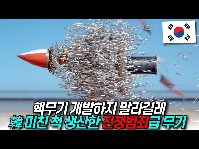 핵무기 개발하지 말라길래... / 디씨멘터리