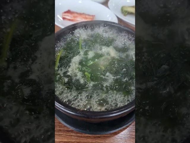 야생모드 귀가길에 들리는 캠퍼방앗간 처인구 올갱이 해장국집, 이 집은 순수 아욱 된장국과 올갱이만을 ㄲㄹㅎ여서 속까지 시원하다. #렉스로버 #차박 #캠핑 #캠핑카