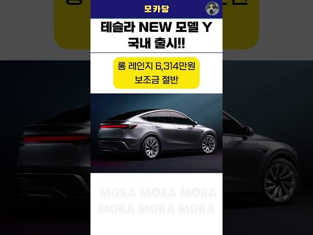 테슬라 신형 모델 Y 주니퍼 국내 출시! 모델별 가격은?