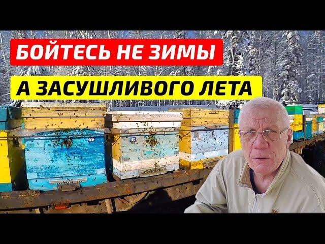 АНОМАЛЬНЫЕ зимы в пчеловодстве.  Экстремальная погода угрожает выживанию медоносных пчел.