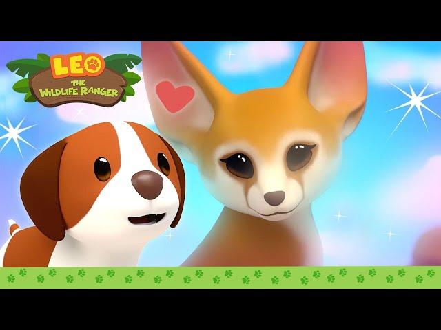 Love at First Sight?! ️ It's Hero Time | BRAND NEW SERIES | Leo the Wildlife Ranger | Kids Cartoons