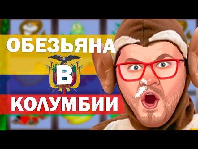 Выиграл в казино Вулкан Старс / Игровые автоматы онлайн как выиграть играть / ОБЕЗЬЯНКИ CRAZY MONKEY