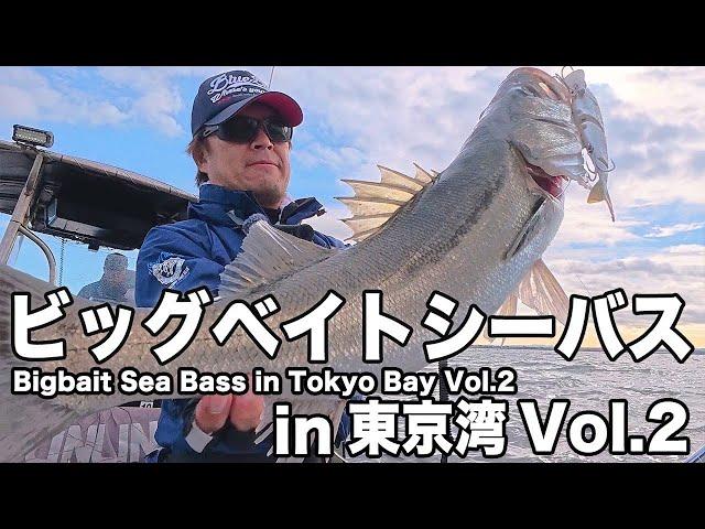 【濱本国彦】木更津ビッグベイトシーバス便【木更津ORCA】