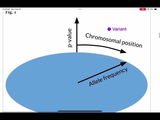 BigTop: a three-dimensional virtual reality tool for GWAS visualization