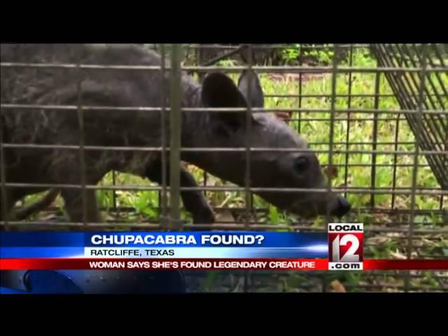 Texas family claims to have caught chupacabra