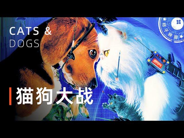 《猫狗大战》萌宠来袭|他的身边为何总是出现会说话的狗和猫