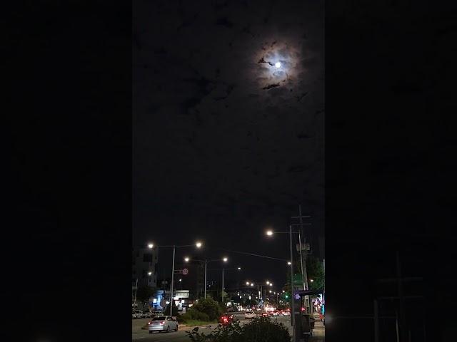 구름을 벗어난 달처럼 #구름 #달