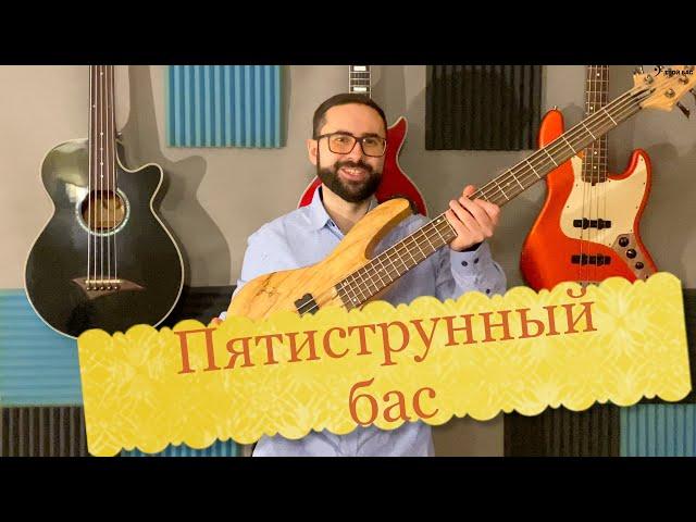 Пятиструнный бас (особенности, основные отличия, зачем нужен)