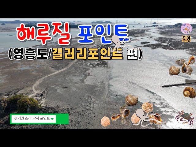 해루질 포인트 지형영상 (영흥도 / 갤러리 포인트) #경기권 #영흥도 #소라 #낙지