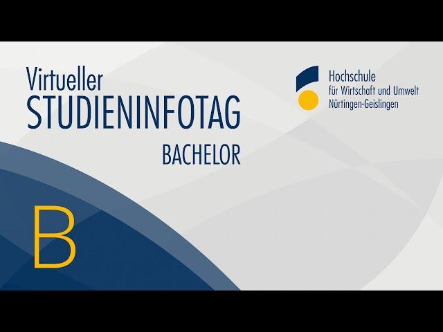 Studieninfotag Bachelor der HfWU – Stream B