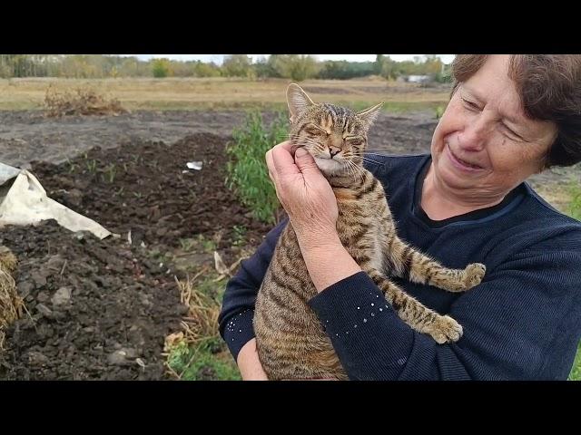 Продолжили уборку,собрали много зелени для сушки.Андрей заболел.Мама разошлась не остановить)