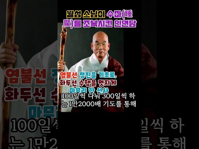 염불선 정진을 기초로, 화두선 수행을 멋지게 마무리 한 선사이면서도 일반 신도들에게는 잘 알려지지 않은 스님#부처님 #통도사#월성스님