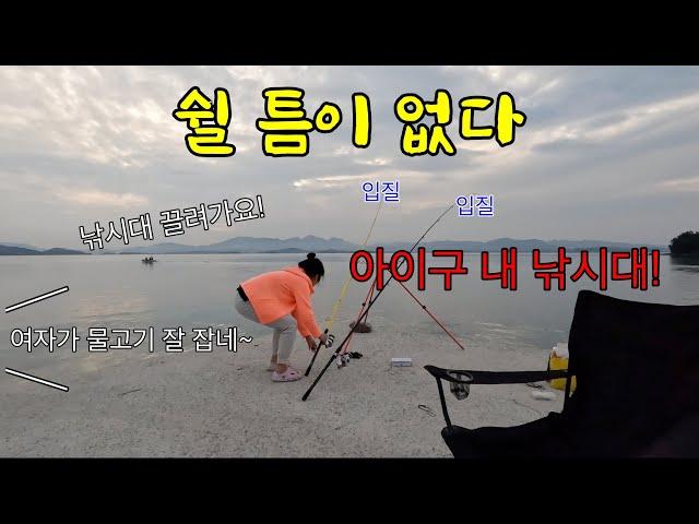 방파제 입질 미쳤다! 던지면 물어요. 근데 이건 무슨 물고기지?