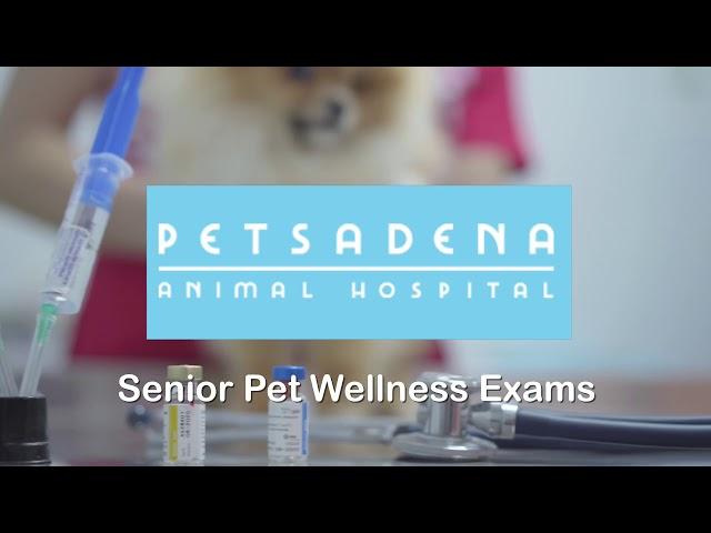 Senior Pet Wellness Exams