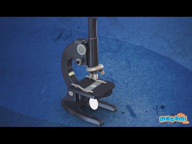 Parts of a Microscope | Mocomi Kids