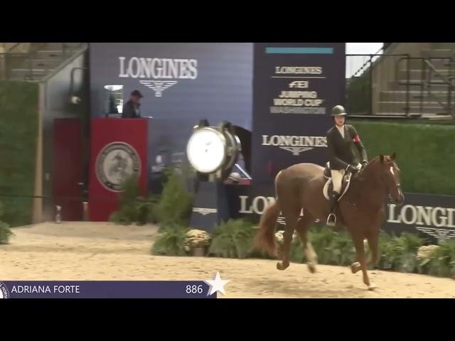 Andre's Take 2024 WIHS Equitation Championship | Hunter Phase