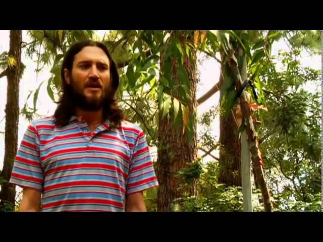 John Frusciante - The Heart is a Drum Machine | Part 4