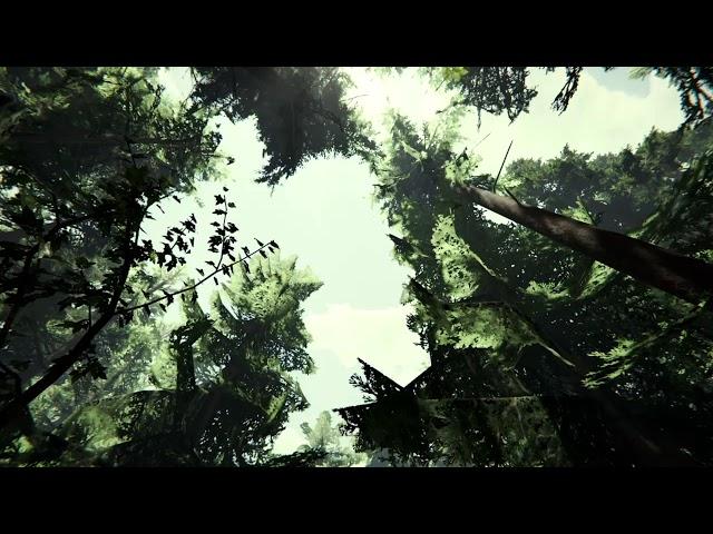 The Forest - Peaceful Forest Ambiance (birds, rustling leaves, creaking trees)