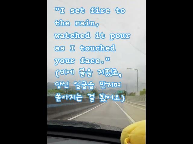 비오는날 감성힐링|비를 맞는 모든것들은 아름답다|#Adele #Set Fire to the Rain #최고의 음악 #추억음악#추억의팝송#옛음악#감성음악