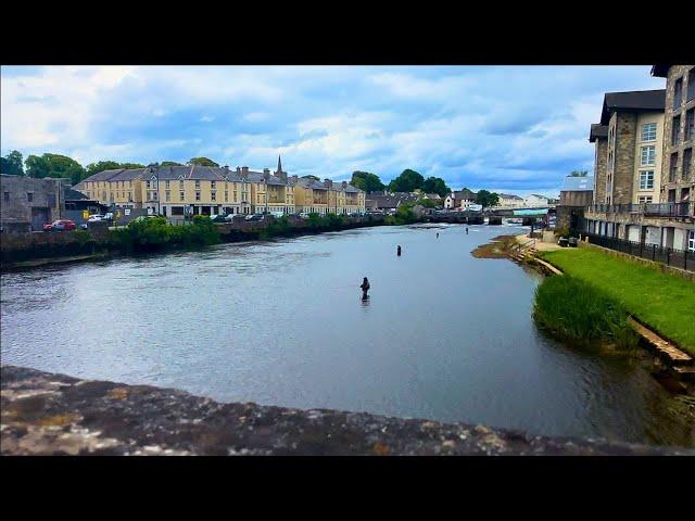 Salmon Running on the River Moy, Ireland