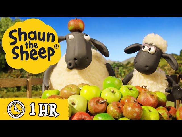 Shaun the Sheep Season 4  All Episodes (21-30)  Role Play & The Crazy Goat  Cartoons for Kids