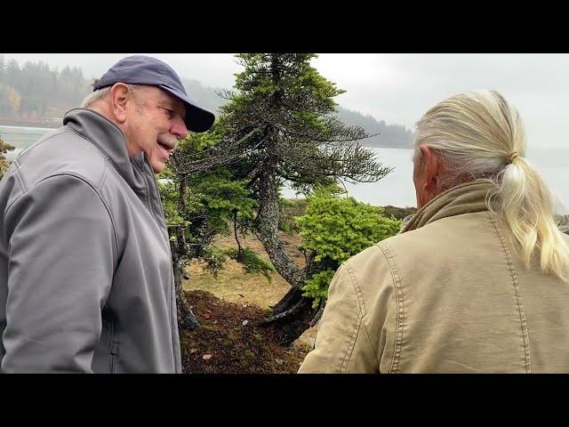 Ancient Trees and Ocean Breeze With Bonsai Artist Dan Robinson