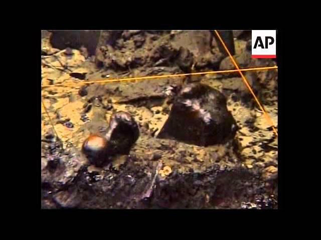 Scientists unearth 40,000 yr old remains