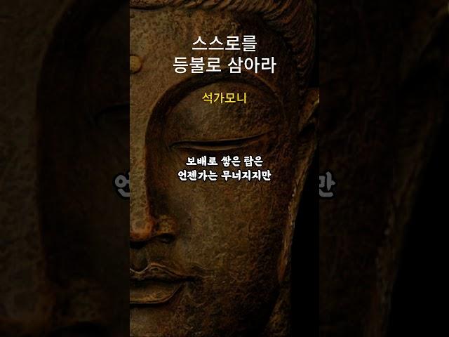 석가모니 인생 명언 #shorts