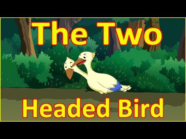 The Two Headed Bird | Moral Stories for Kids in English | English Cartoon | Maha Cartoon TV English